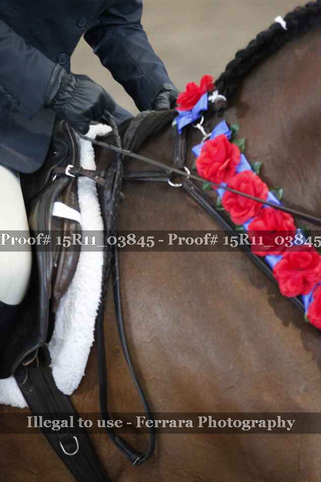 Proof Number 15R11_03845