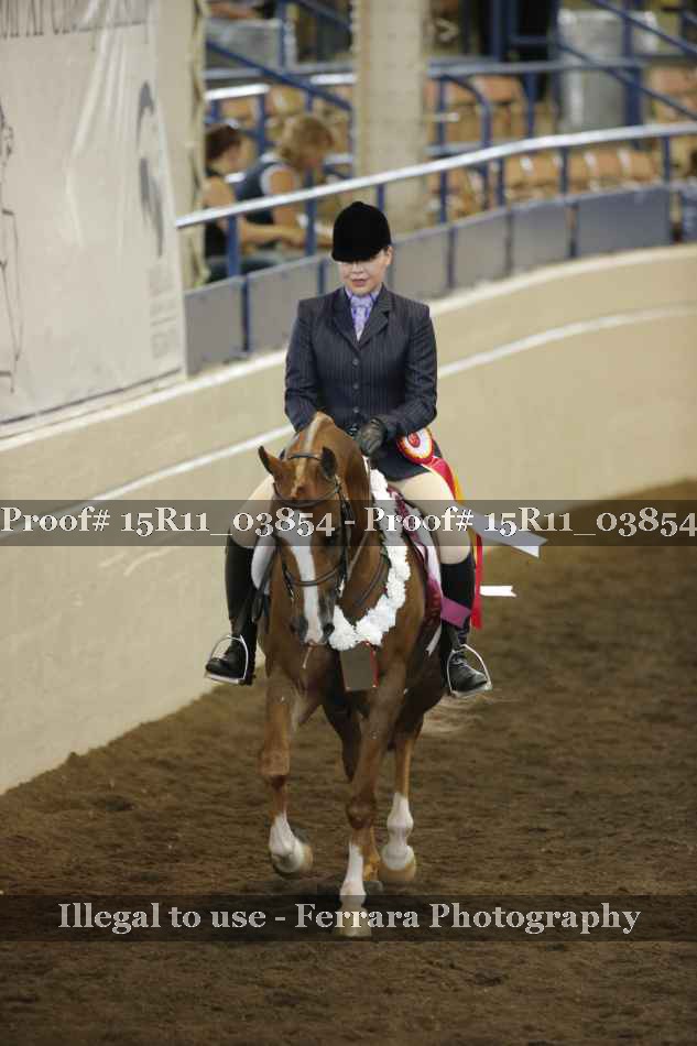 Proof Number 15R11_03854