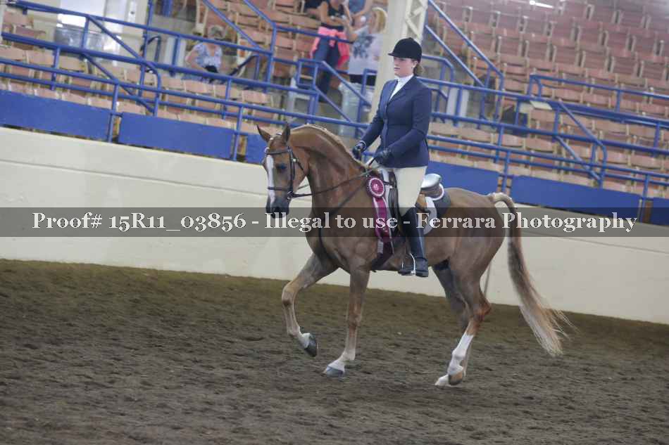 Proof Number 15R11_03856