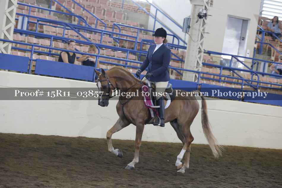 Proof Number 15R11_03857