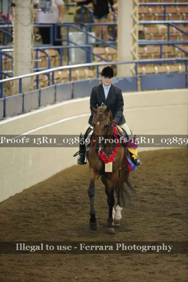 Proof Number 15R11_03859