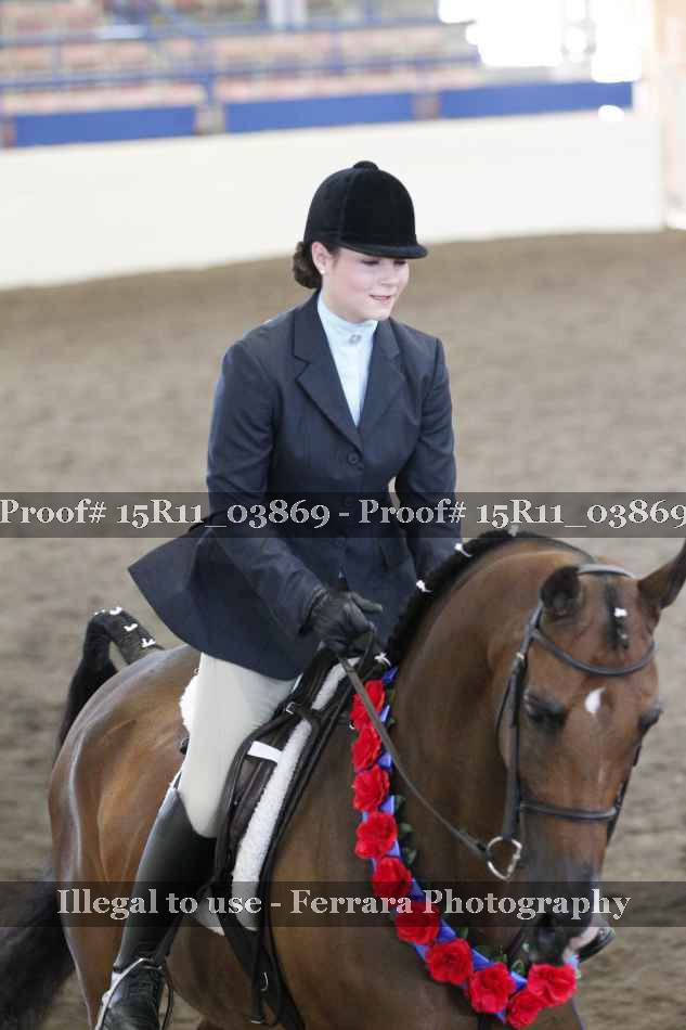 Proof Number 15R11_03869