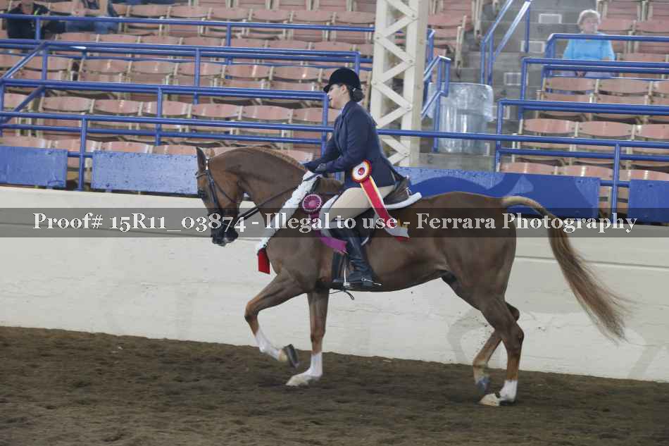 Proof Number 15R11_03874