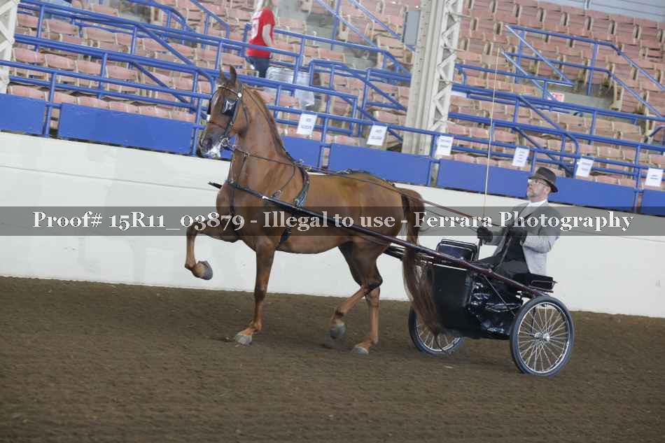 Proof Number 15R11_03879