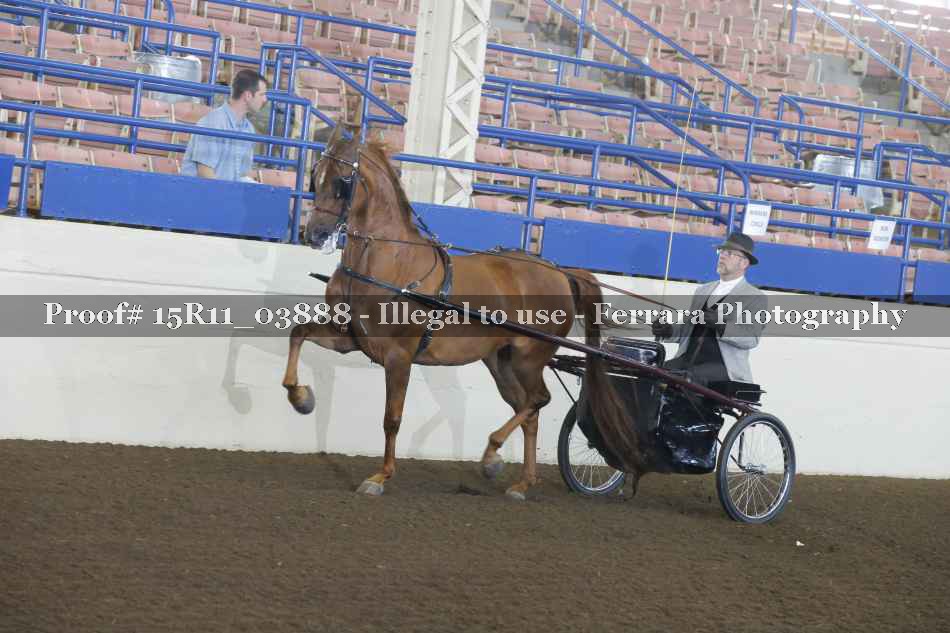 Proof Number 15R11_03888