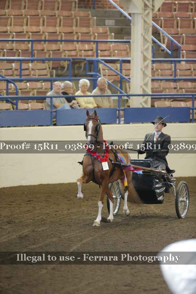 Proof Number 15R11_03899