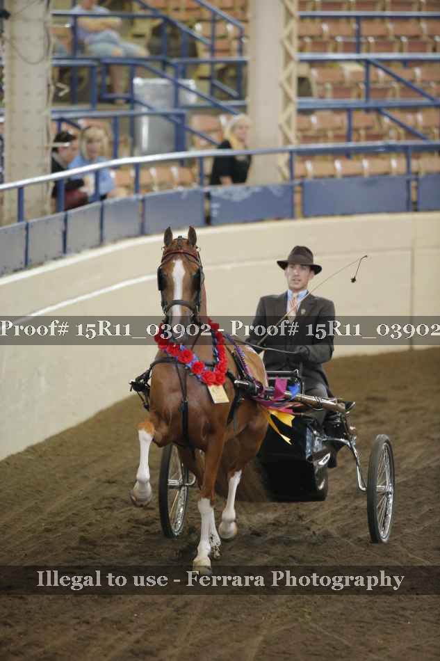 Proof Number 15R11_03902