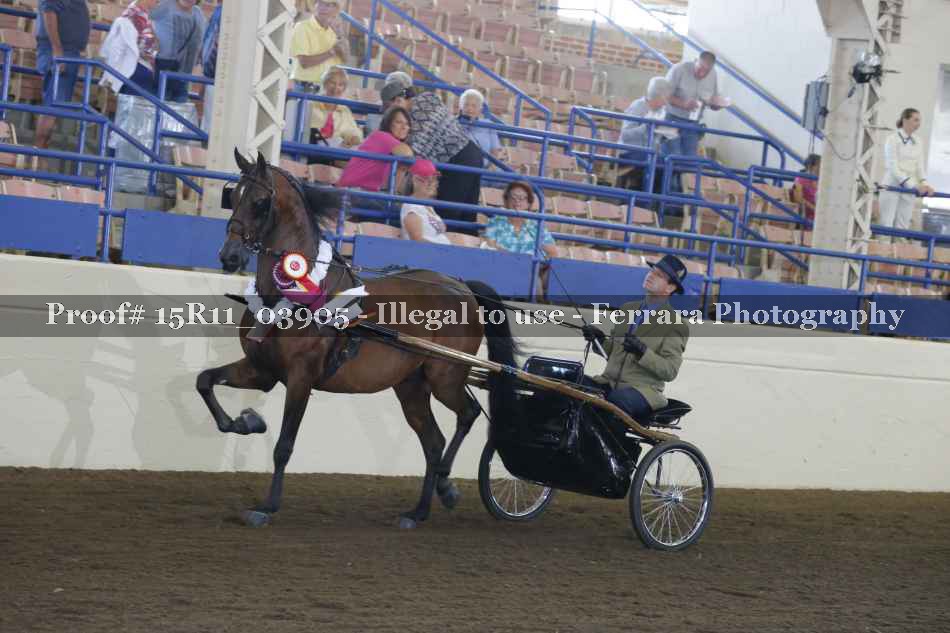 Proof Number 15R11_03905