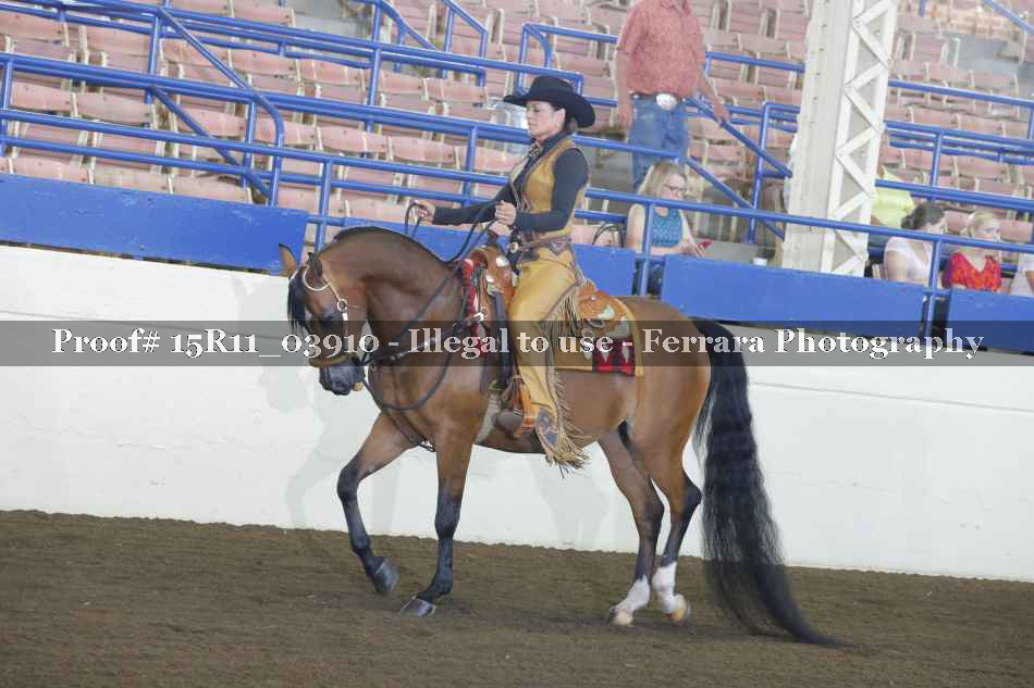 Proof Number 15R11_03910