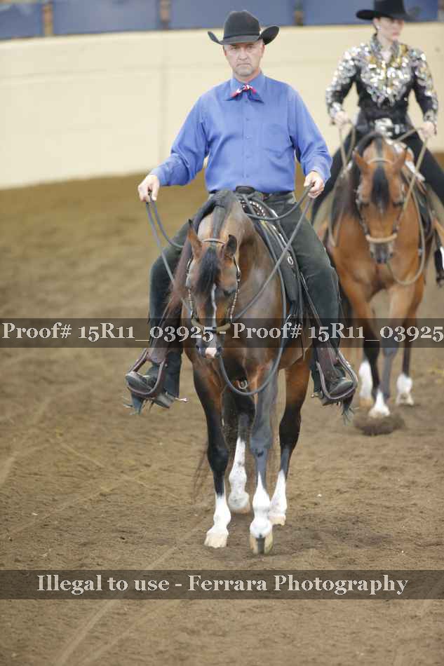 Proof Number 15R11_03925