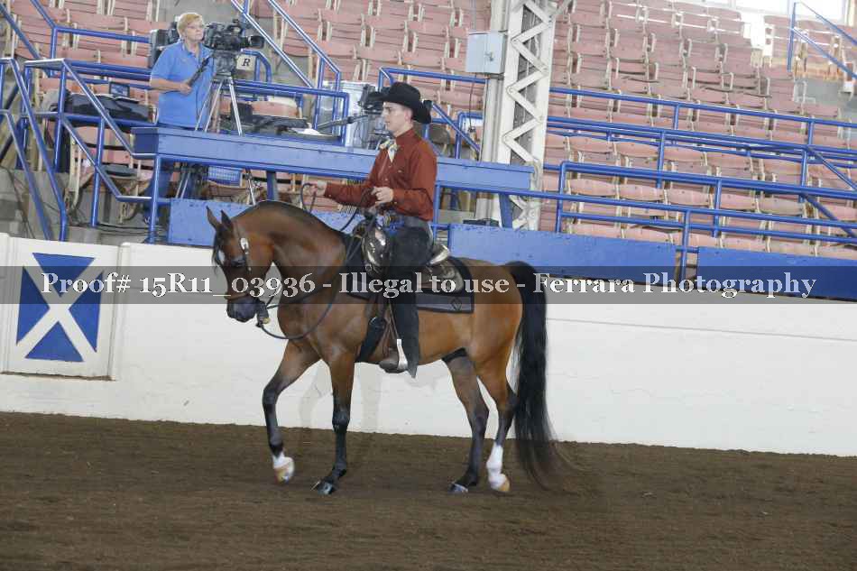 Proof Number 15R11_03936
