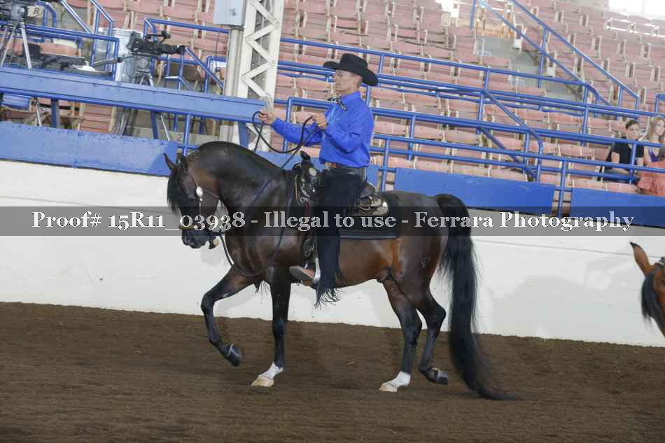 Proof Number 15R11_03938