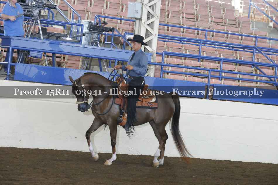 Proof Number 15R11_03941