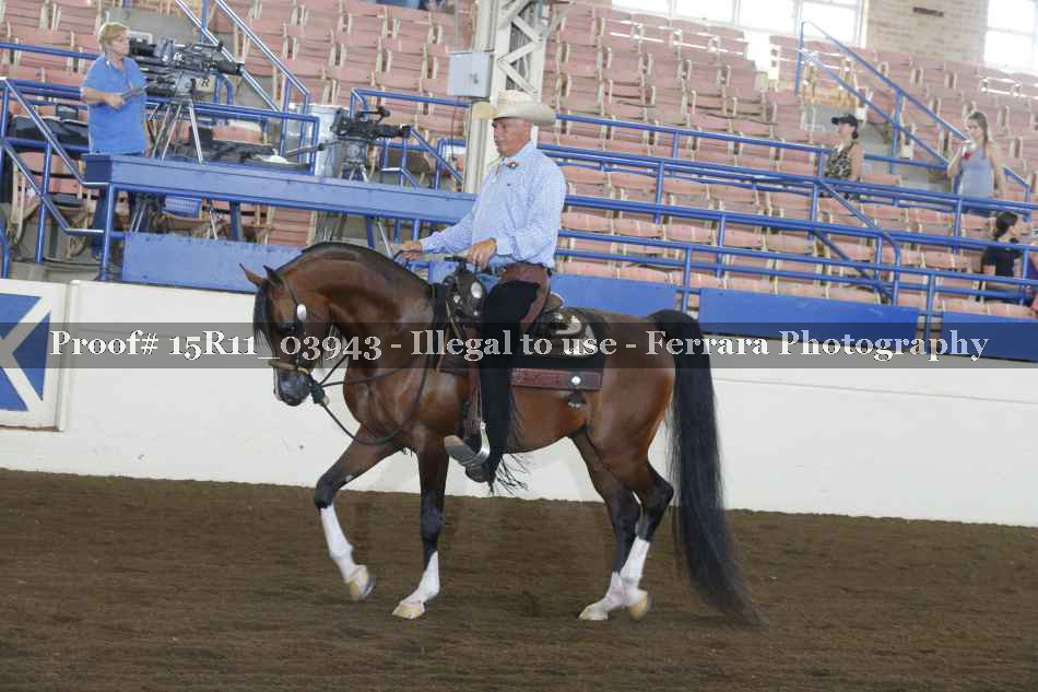 Proof Number 15R11_03943