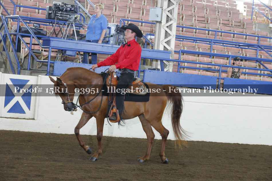 Proof Number 15R11_03951