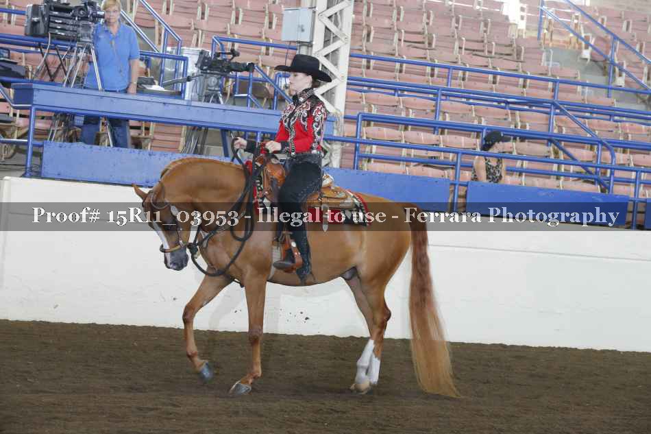 Proof Number 15R11_03953