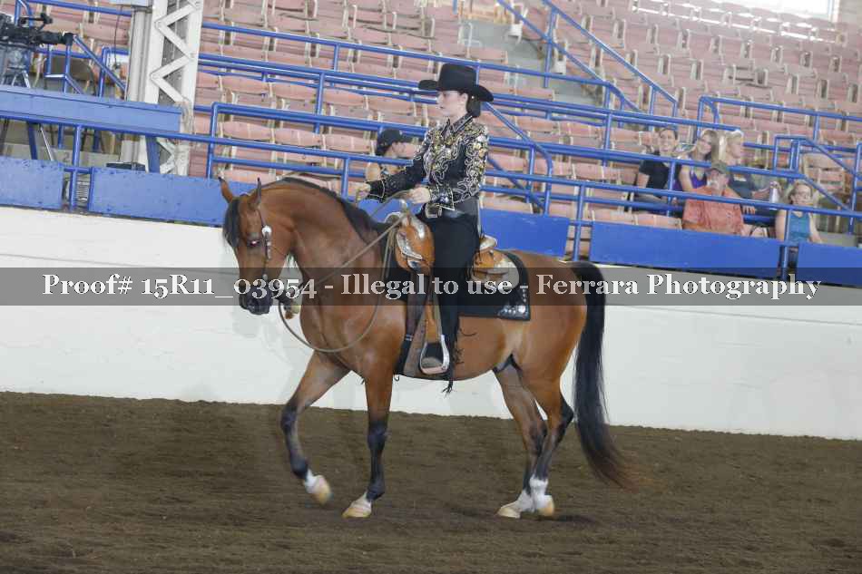 Proof Number 15R11_03954