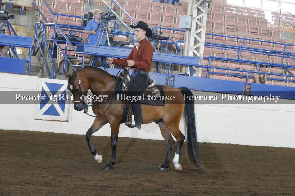 Proof Number 15R11_03957
