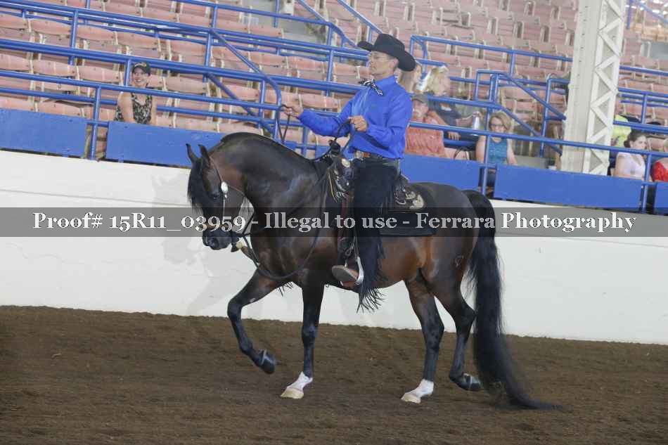 Proof Number 15R11_03959