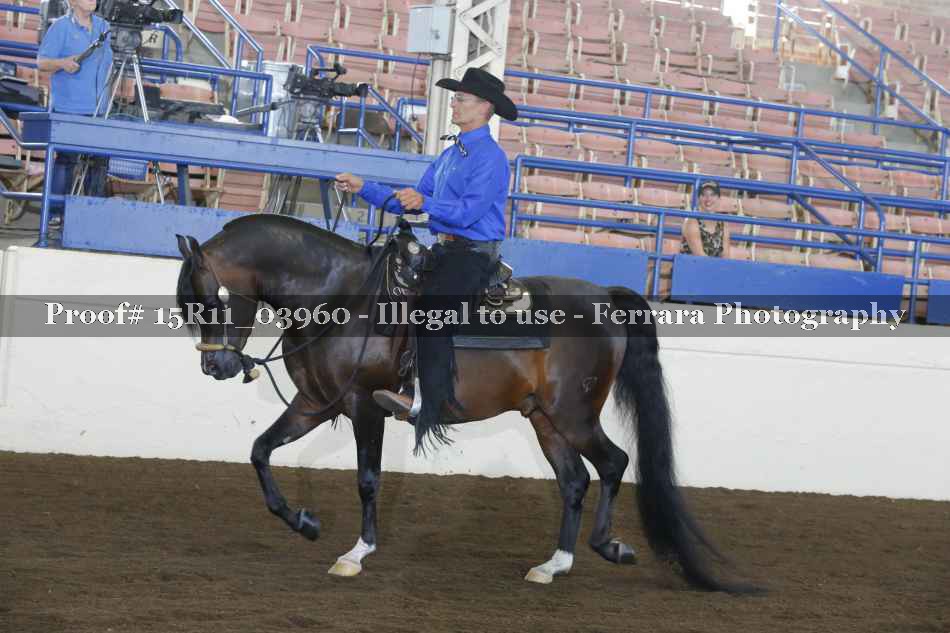 Proof Number 15R11_03960