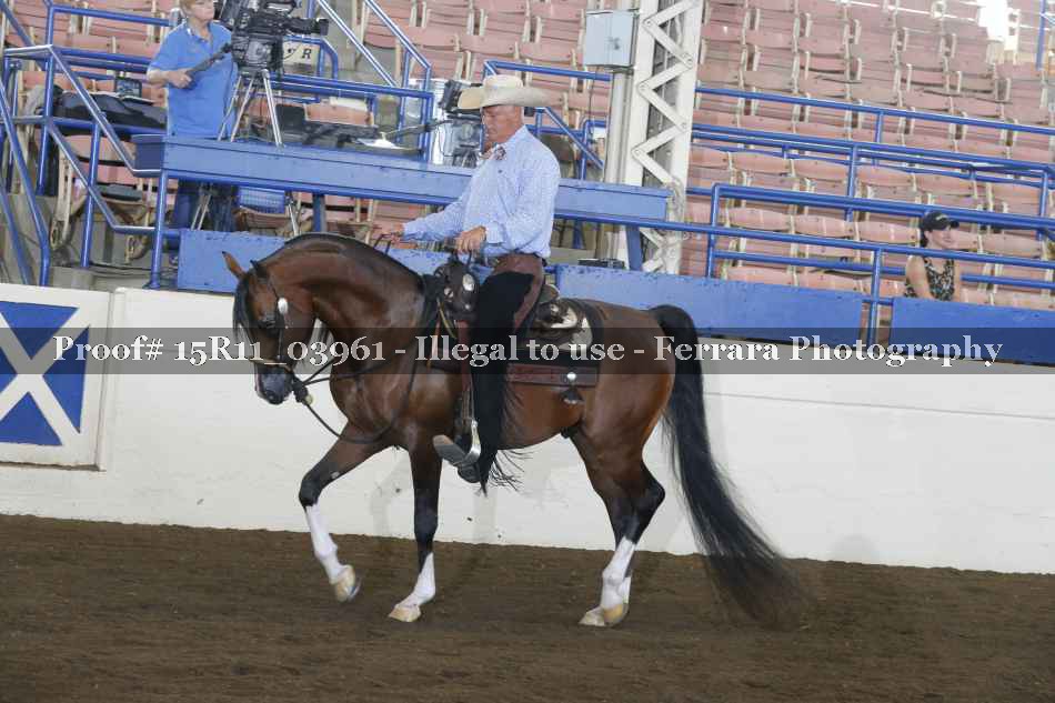 Proof Number 15R11_03961