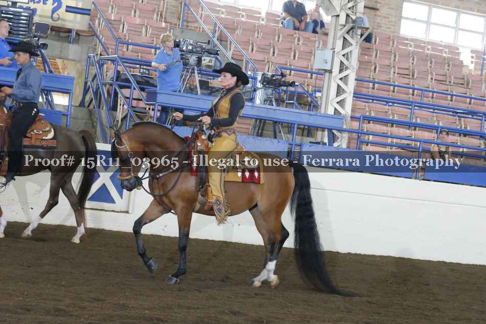 Proof Number 15R11_03965