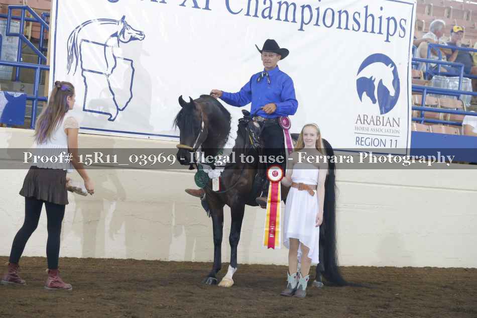 Proof Number 15R11_03969
