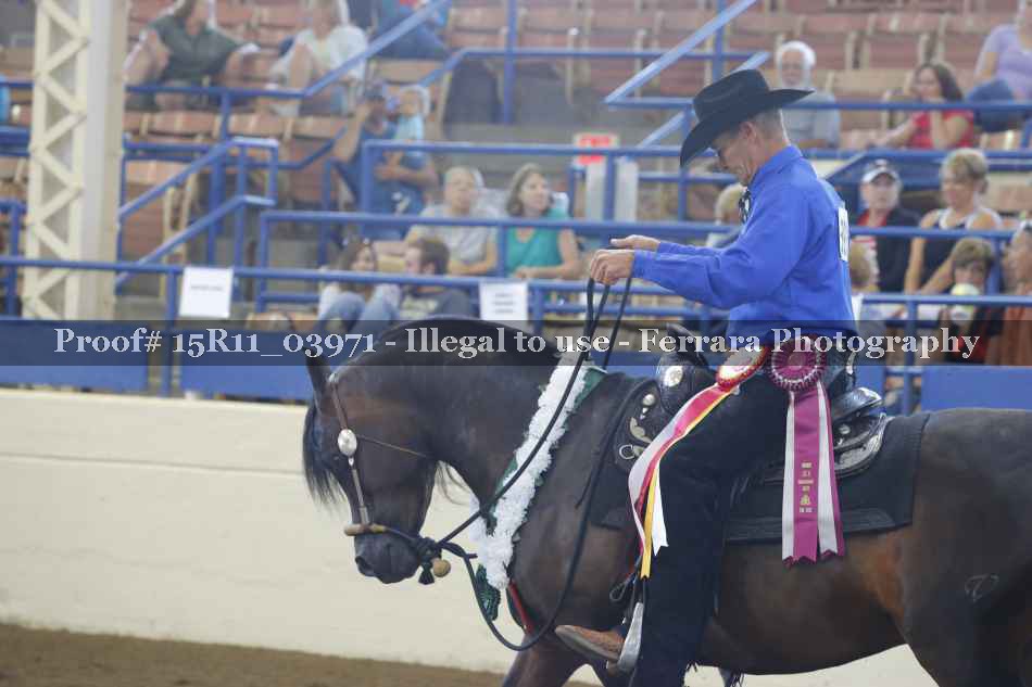 Proof Number 15R11_03971