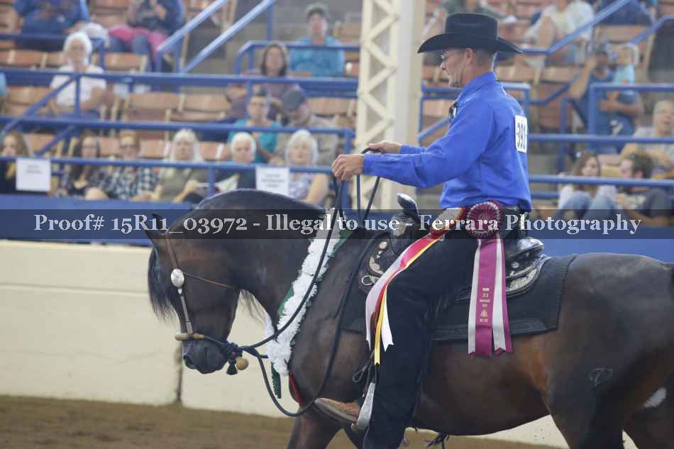 Proof Number 15R11_03972