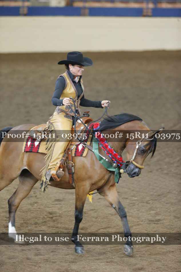 Proof Number 15R11_03975