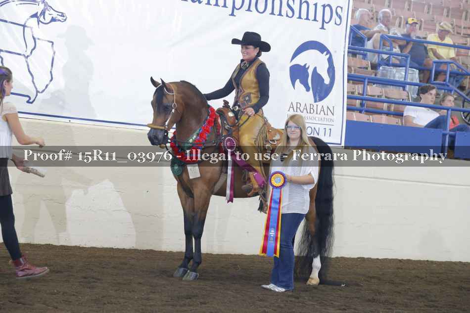 Proof Number 15R11_03976