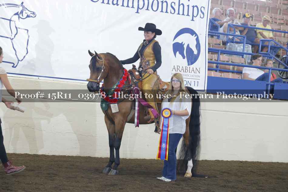 Proof Number 15R11_03978