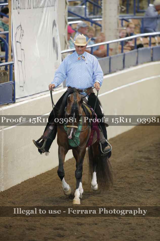 Proof Number 15R11_03981