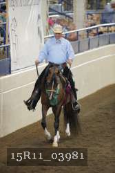 15R11_03981 thumbnail