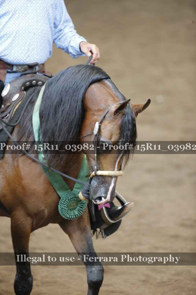 Proof Number 15R11_03982