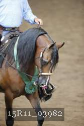 15R11_03982 thumbnail