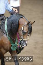 15R11_03983 thumbnail