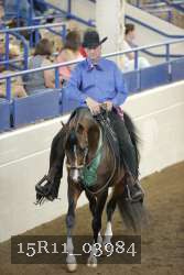15R11_03984 thumbnail