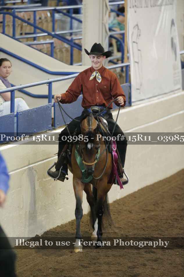 Proof Number 15R11_03985