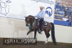 15R11_03986 thumbnail