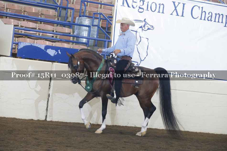 Proof Number 15R11_03987