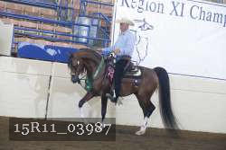 15R11_03987 thumbnail