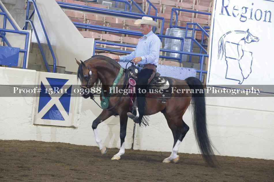 Proof Number 15R11_03988