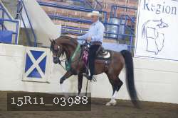 15R11_03988 thumbnail