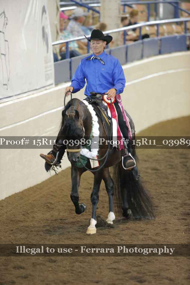 Proof Number 15R11_03989