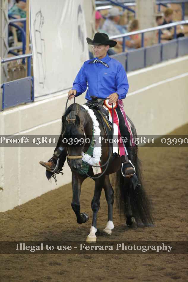 Proof Number 15R11_03990