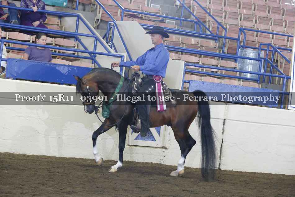 Proof Number 15R11_03991