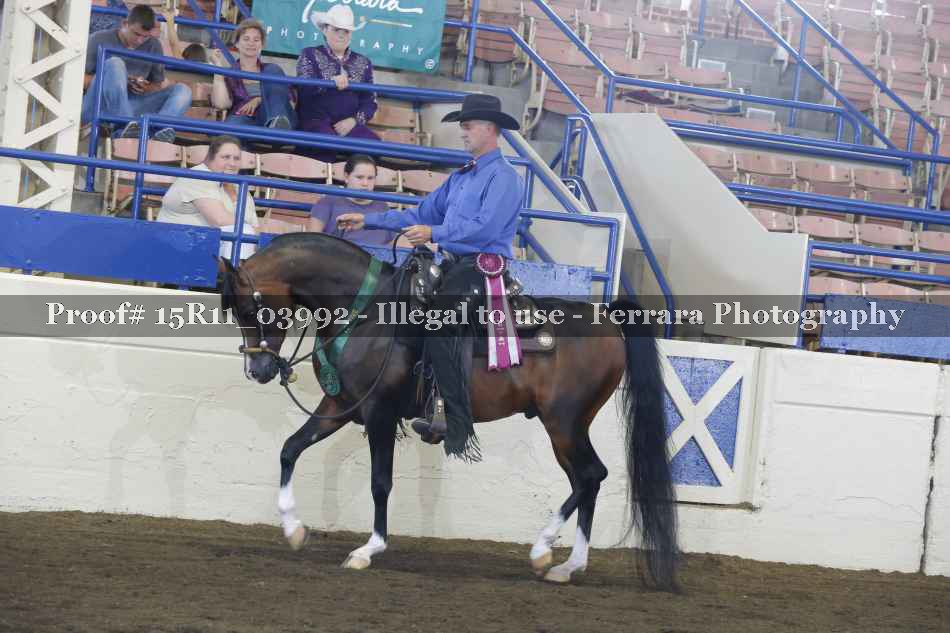 Proof Number 15R11_03992