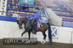 15R11_03992 thumbnail