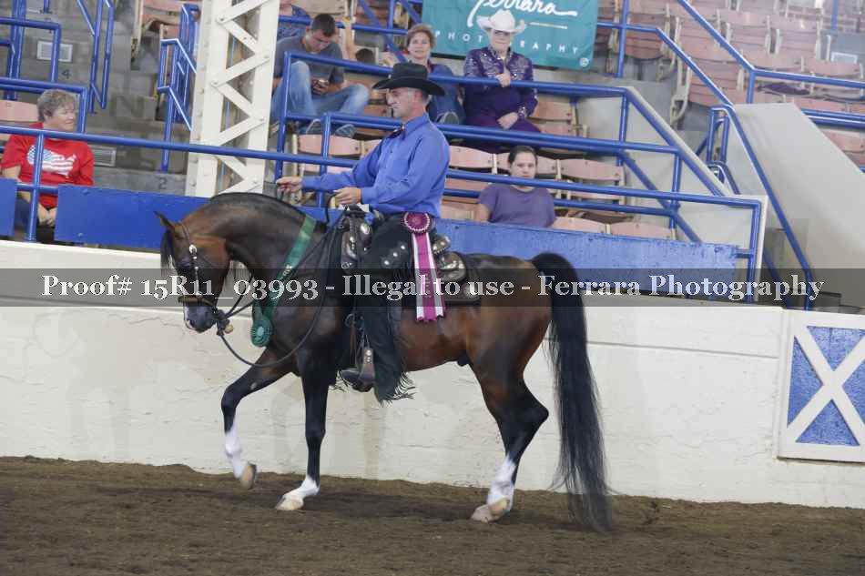 Proof Number 15R11_03993